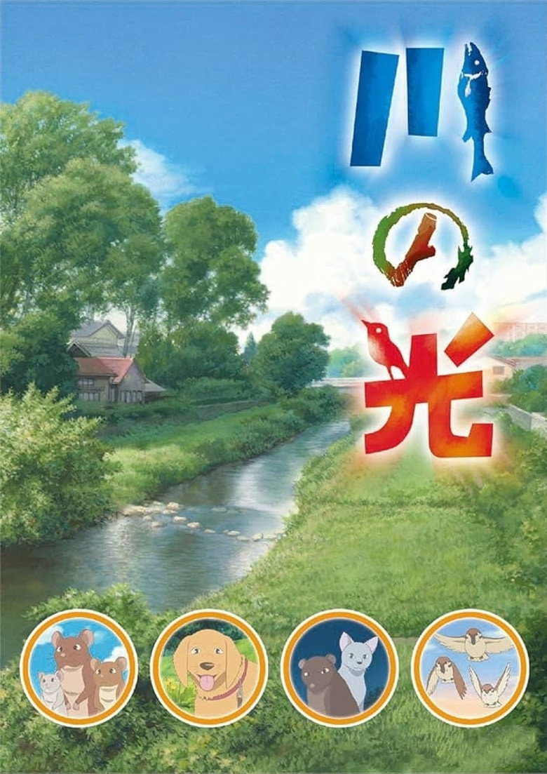 川の光